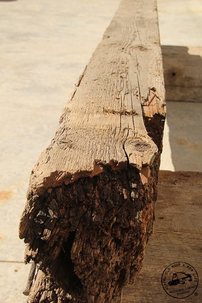 Brown Barnbeam D28