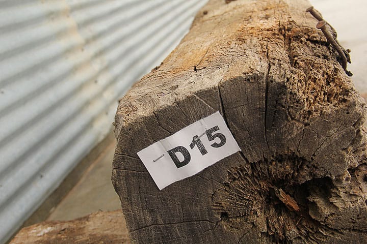 Worn and Aged Reclaimed Beam D15