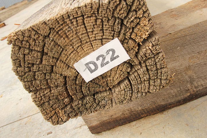 Highly Distressed End Reclaimed Barn Beam D22